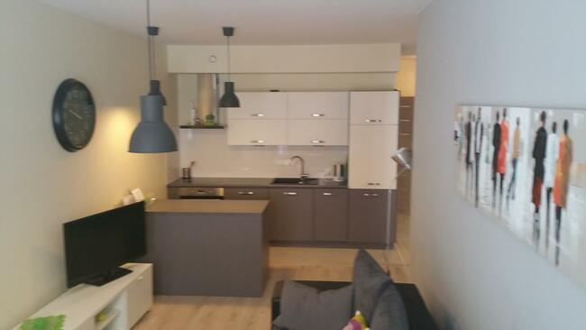 - opróżnianie z rzeczy, oczyszczenie , sprzątanie jednorazow