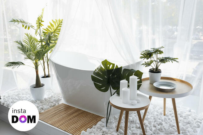 Studio fotograficzne do wynajęcia INSTA DOM