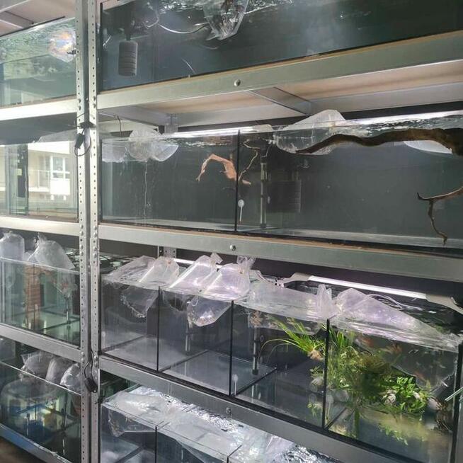 Sklep Akwarystyczny Warszawa Targówek