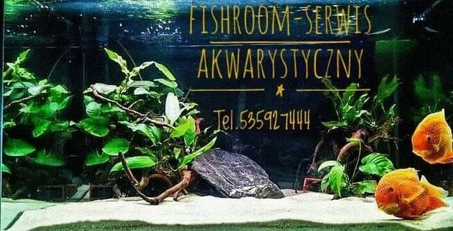 Sklep Akwarystyczny Warszawa Targówek