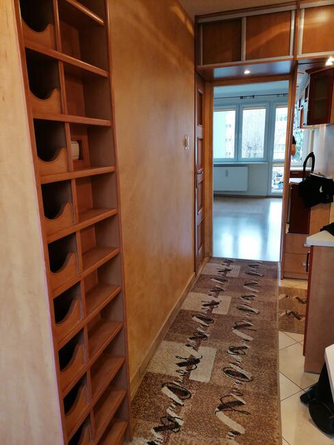 Wynajem mieszkanie 3 pokojowe 47m2