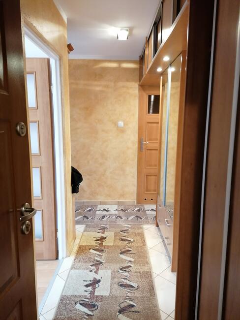 Wynajem mieszkanie 3 pokojowe 47m2