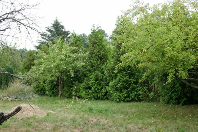 Działka rekreacyjne ROD ,,Malwa