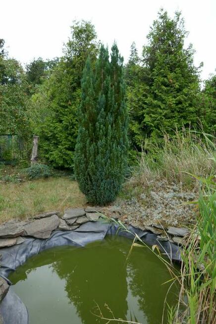 Działka rekreacyjne ROD ,,Malwa