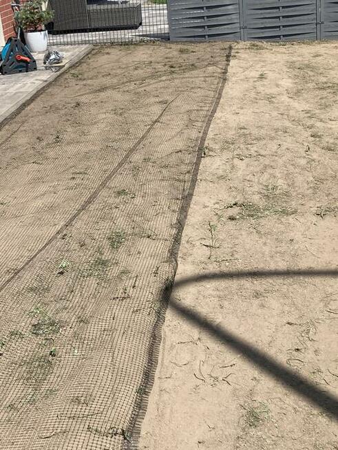 Trawnik, trawa z rolki, nawadnianie, prace ziemne