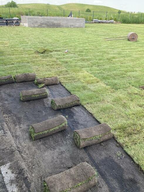 Trawnik, trawa z rolki, nawadnianie, prace ziemne