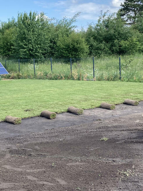 Trawnik, trawa z rolki, nawadnianie, prace ziemne