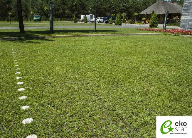 KRATKA TRAWNIKOWA Parkingowa Stella Green Premium 50x50x4