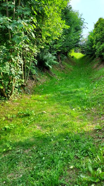 Sprzedamdziałkę budowlaną w Głowience 8 ar+6 ar domek gratis