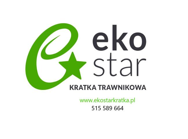 KRATKA TRAWNIKOWA Parkingowa Stella Green Premium 50x50x4