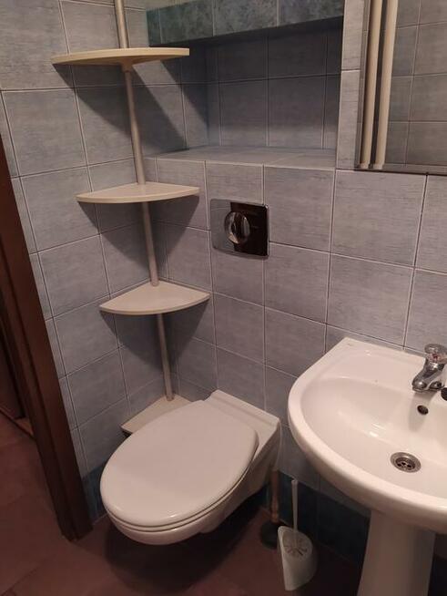 Wynajmę mieszkanie 2 pokoje z widną kuchnią 50 m.kw