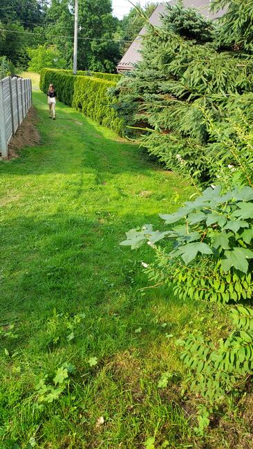 Sprzedamdziałkę budowlaną w Głowience 8 ar+6 ar domek gratis