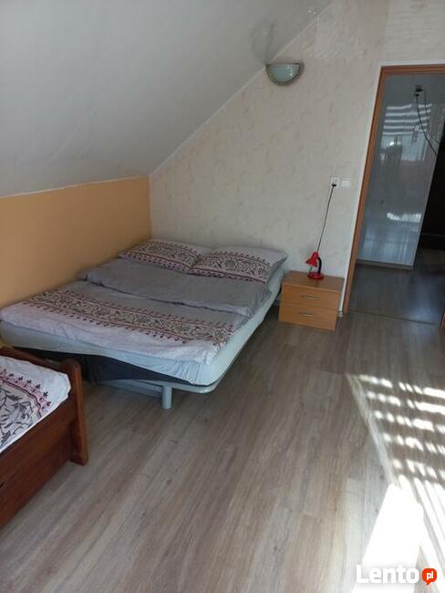 pokoje, domek na wynajem Puszcza Notecka