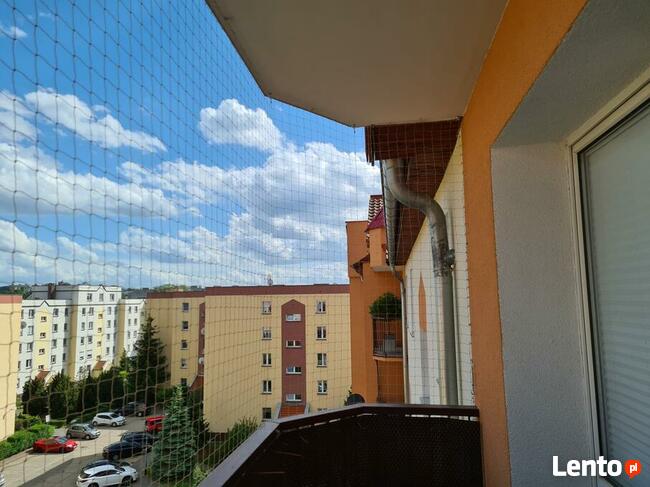 Siatka dla KOTA, siatka na balkon ZIELONA GÓRA