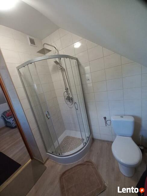 pokoje, domek na wynajem Puszcza Notecka