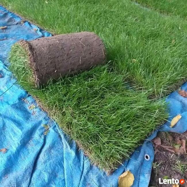 Ogrodnictwo od A do Z .