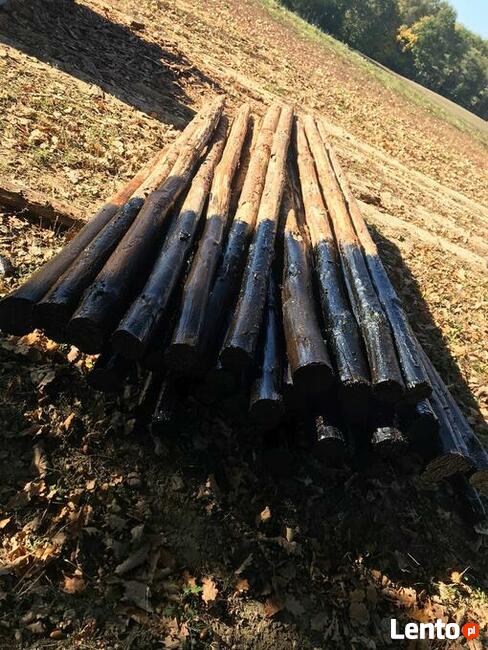 Ogrodzenia tymczasowe leśne budowlane działki i uprawy