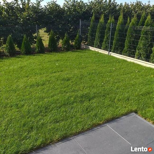 Ogrodnictwo od A do Z .