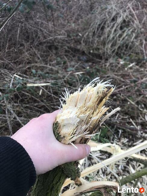 Kosiarka bijakowa / mulczer Ghedini do koparki / koparko ład