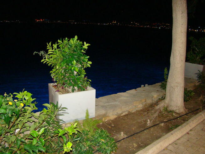 Donice VENA na zamówienie do biura I ogrodu