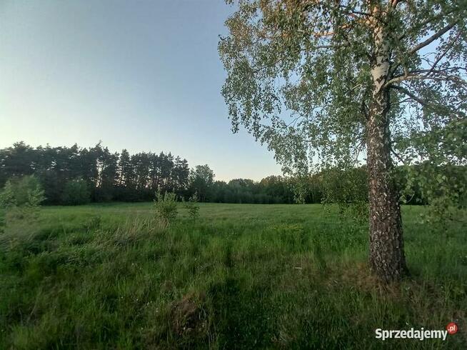 Działka w zacisznym miejscu Chełstówek/Twardogóra