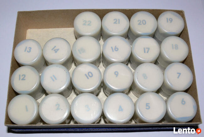 PRZEŹROCZA BHP Zasady ruch drogowe DIASKOP RZUTNIK