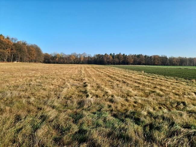 Działka usługowa TYCHY TYCHY, MIKOŁOWSKA