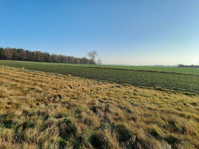 Działka usługowa TYCHY TYCHY, MIKOŁOWSKA