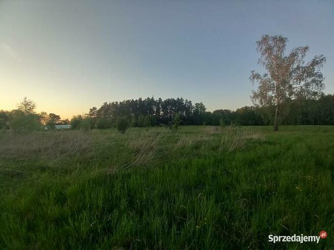 Działka w zacisznym miejscu Chełstówek/Twardogóra