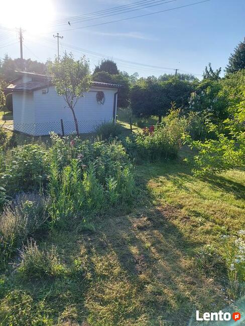 Działka ROD ogródek działkowy Rekreacyjne działki z domkiem