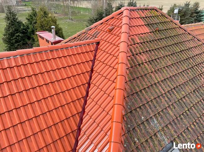 Mycie elewacji i dachu