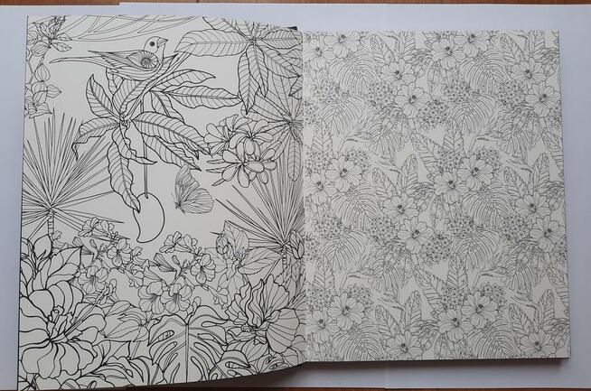 Animals kolorowanki relaksacyjne antystresowe książka