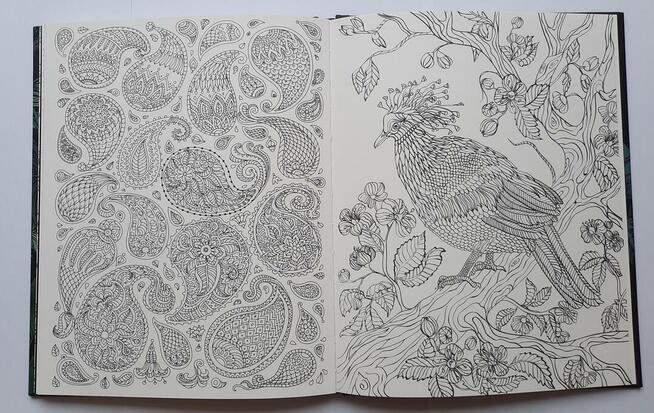 Animals kolorowanki relaksacyjne antystresowe książka