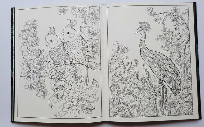 Animals kolorowanki relaksacyjne antystresowe książka