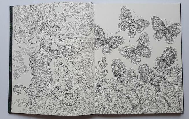 Animals kolorowanki relaksacyjne antystresowe książka