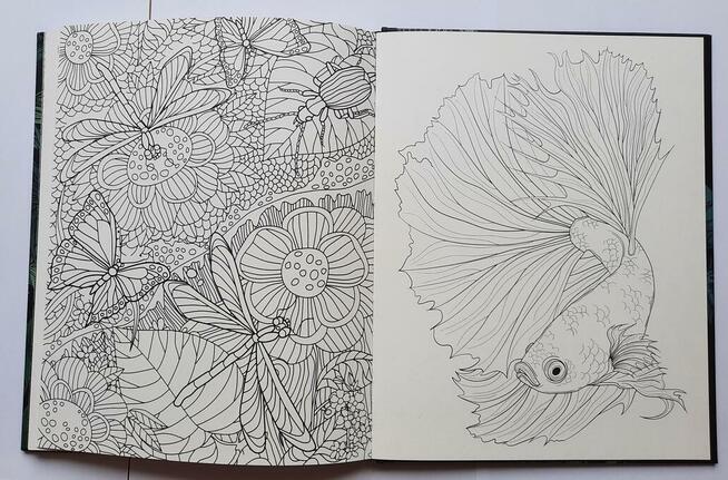 Animals kolorowanki relaksacyjne antystresowe książka