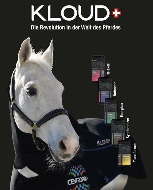 KLOUD VET SET BEMER EVO BIOMAG w 48h dostawa