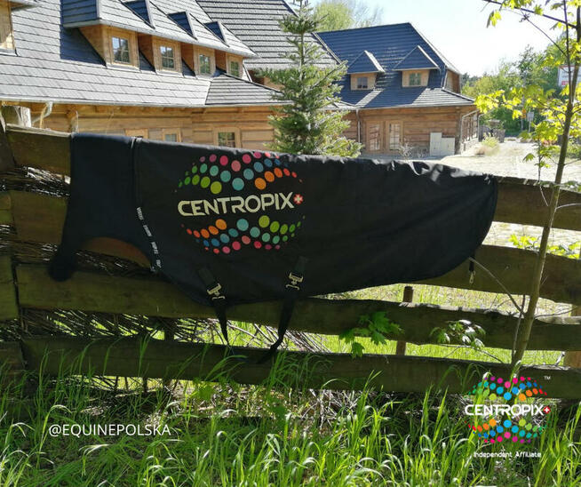 KLOUD VET SET BEMER EVO BIOMAG w 48h dostawa