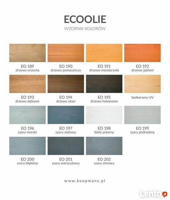 2,5l Olej do drewna Ecoolie