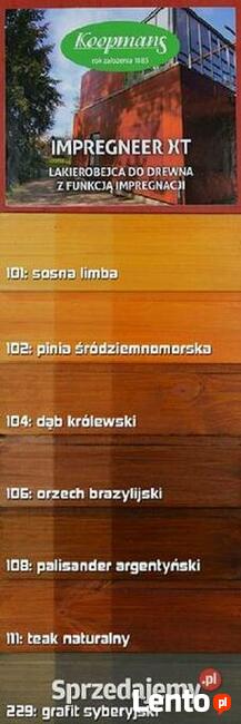 Lakierobejca 1l KOOPMANS