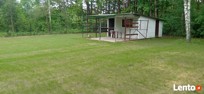 Wynajem rozdrabniacza do gałęzi z operatorem. BanGarden