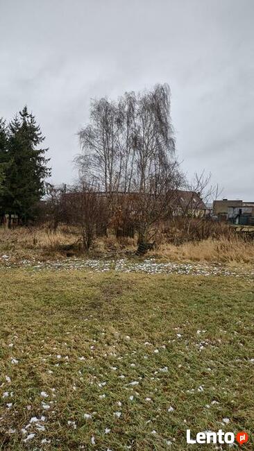 Sprzedam dom parterowy