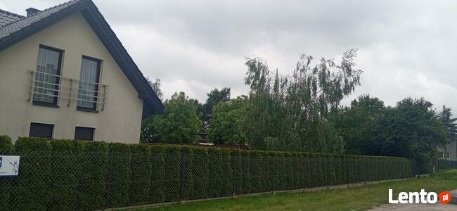 Wynajem rozdrabniacza do gałęzi z operatorem. BanGarden