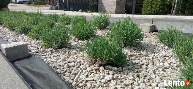 Wynajem rozdrabniacza do gałęzi z operatorem. BanGarden