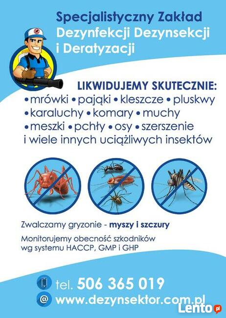 Pluskwy Świnoujście. Zwalczamy pluskwy w Świnoujściu