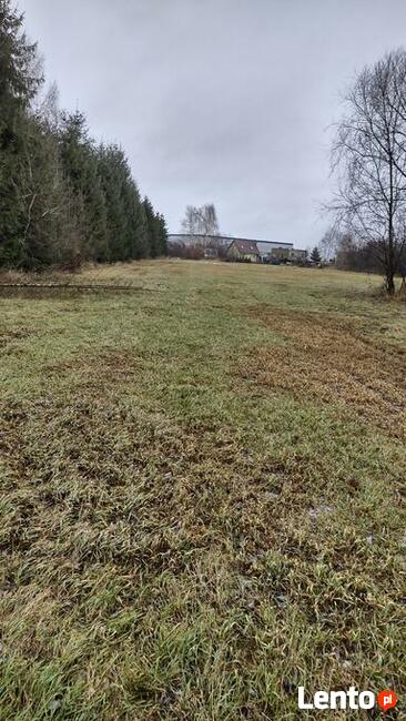 Sprzedam dom parterowy