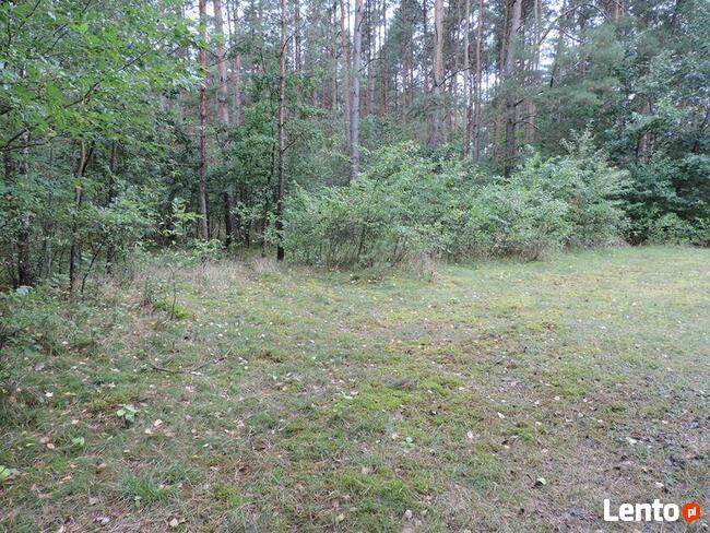 Borowiny gm. Skierniewice