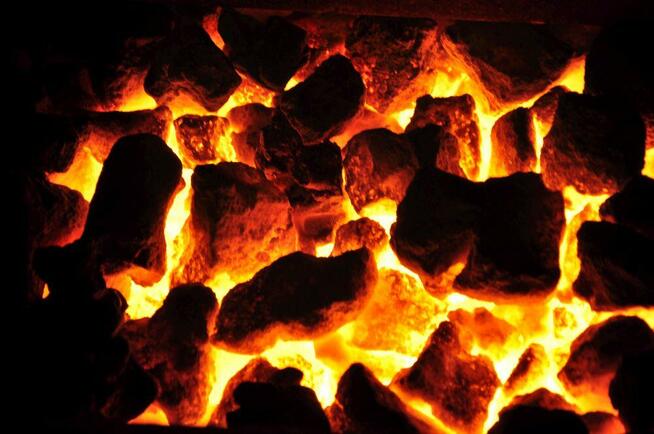 EKOgroszek tylko 999 zł