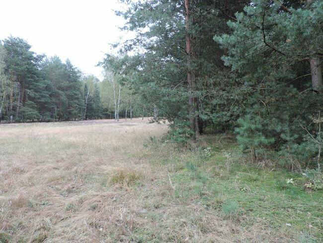 Borowiny gm. Skierniewice