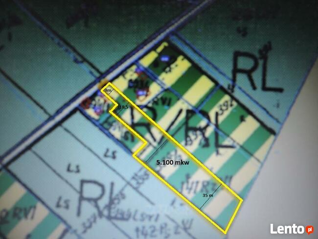 Borowiny gm. Skierniewice